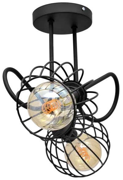 Lampadario a plafone OXFORD 2xE27/15W/230V nero