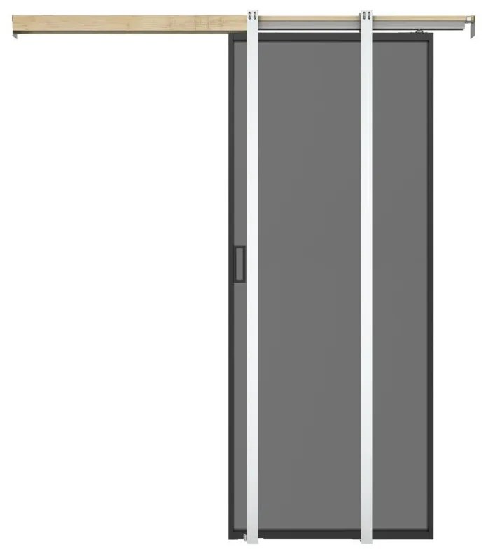 Porta scorrevole con sistema a incasso H205 x L83 cm Alluminio e Vetro temperato fumé - LINCI II