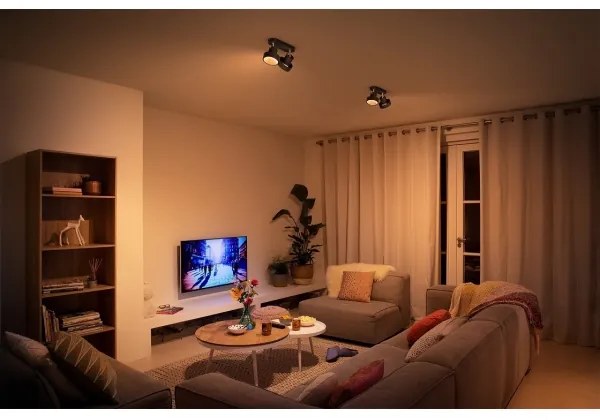 Philips 50602/30/P0 - Faretto LED dimmerabile BUKKO 2xLED/4,5W/230V