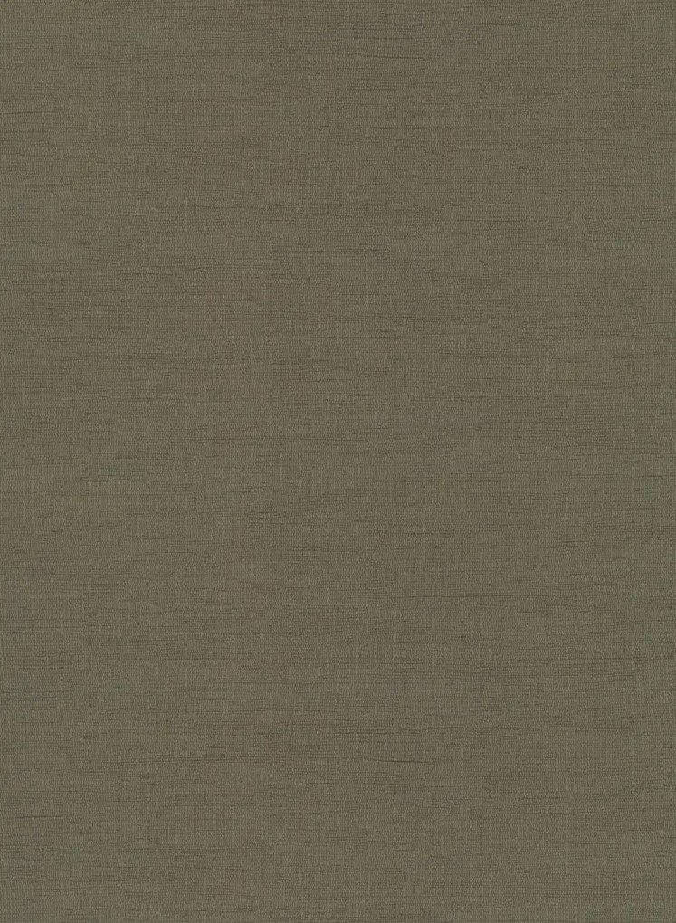 Nobilis Carta da parati Seta - STA33