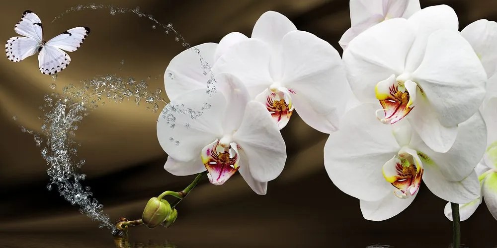 Quadro su tela – Orchidea e farfalla