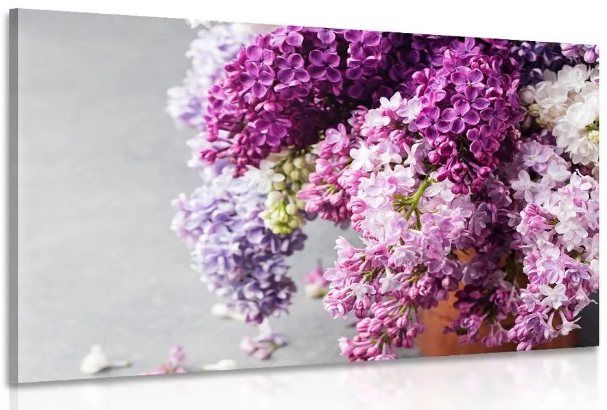 Stampa su tela – Lilla in tonalità rosa