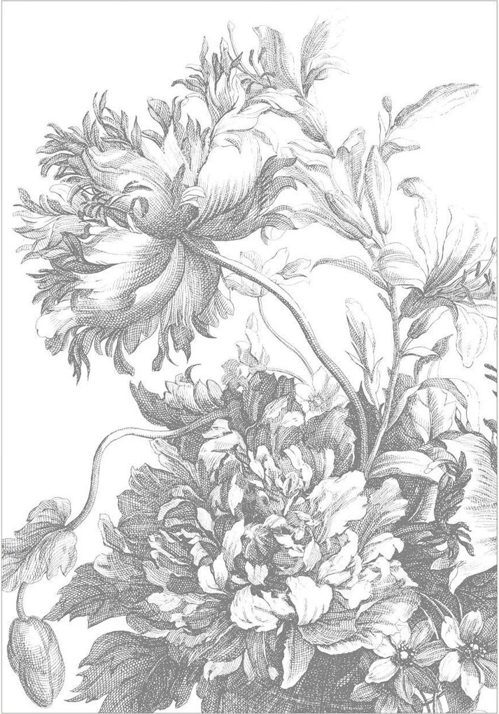 Carta da parati Engraved Flowers