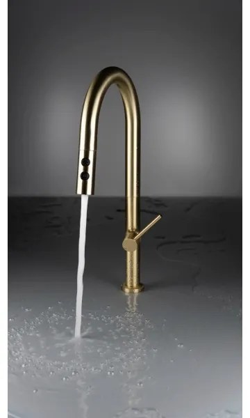 Deante BQO_R72M - Rubinetto lavello con doccetta estraibile OLFATO pettinato oro