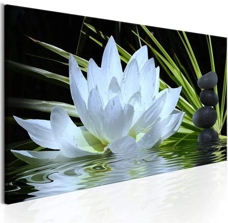 Quadro Zen Garden (1 Part) Narrow  Colore Bianco, Dimensioni e Misure 120x40