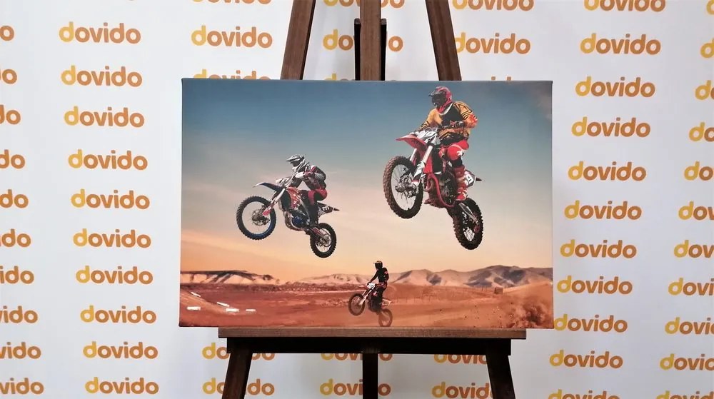 Quadro su tela – Per motociclisti