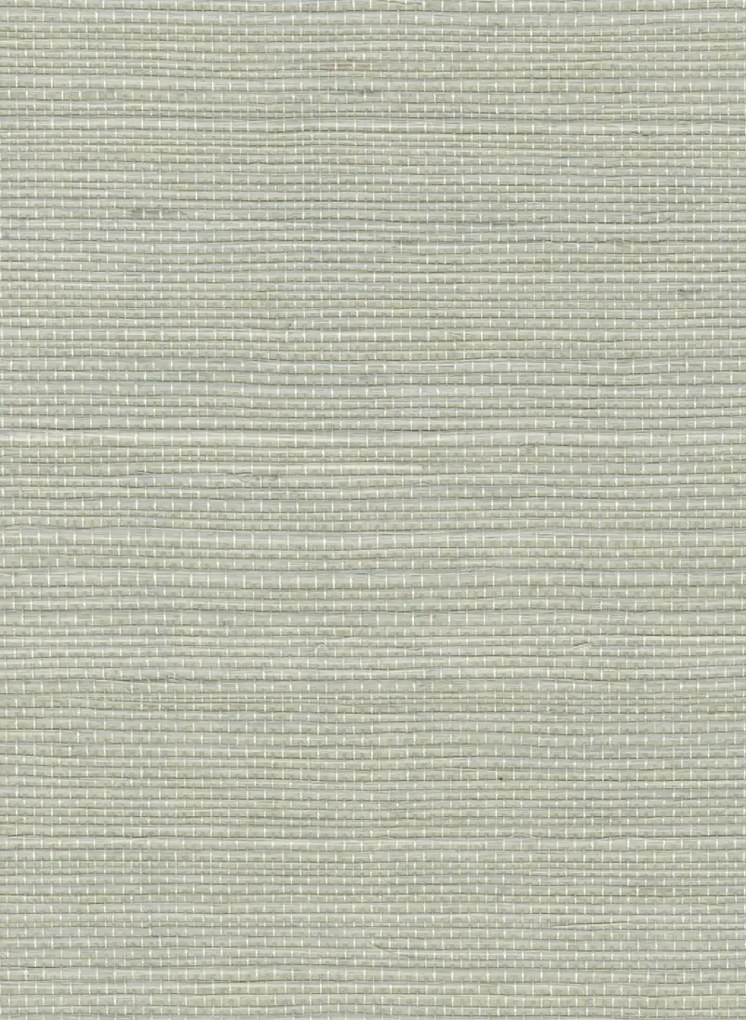 Élitis Tapete Sisal - RM 1069 86