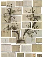 Tapete EKA-02 Bibliotheca von Ekaterina Panikanova
