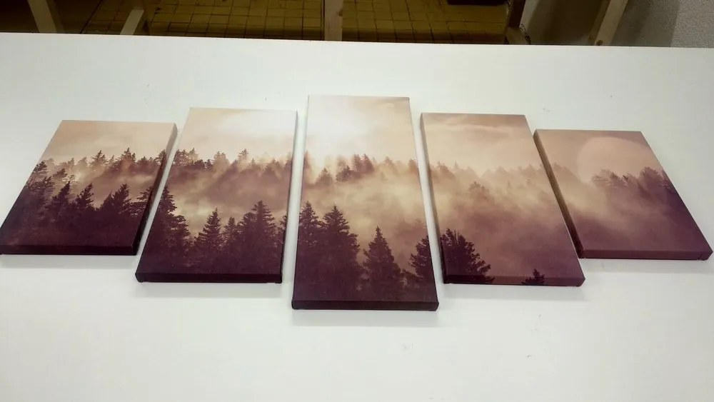 Quadri 5 pezzi – Nebbia sulla foresta