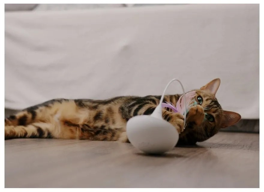 Giocattolo per gatto Epic Pet Interactive - Plaček Pet Products