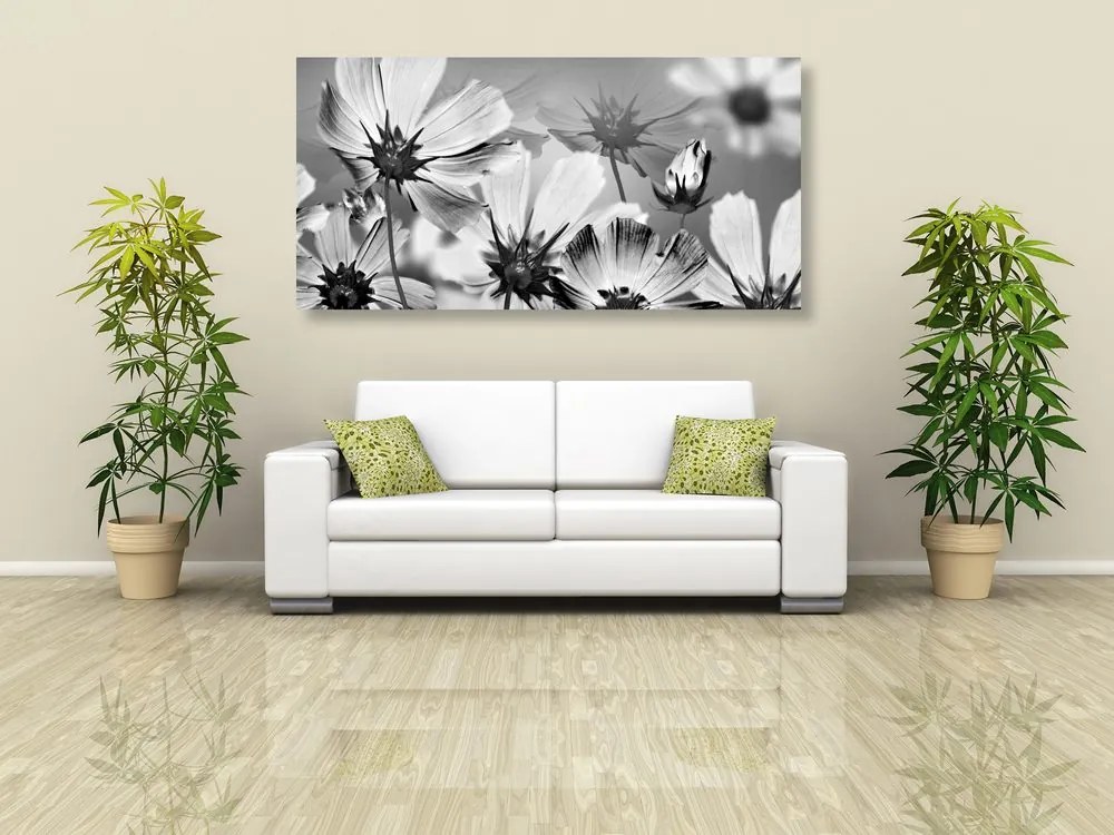Quadro su tela – Fiori da giardino in bianco e nero