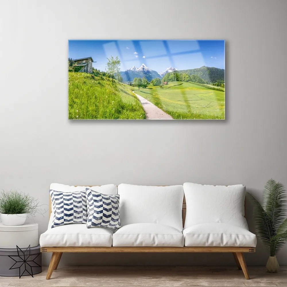 Quadro di vetro Montagne Prato Valle Sentiero 140x70 cm