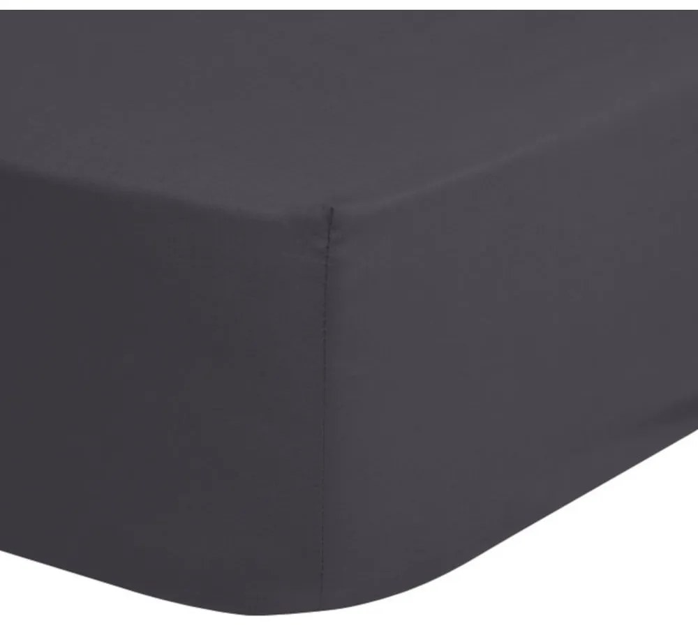Lenzuolo elastico in cotone grigio scuro, 90 x 200 cm - Good Morning