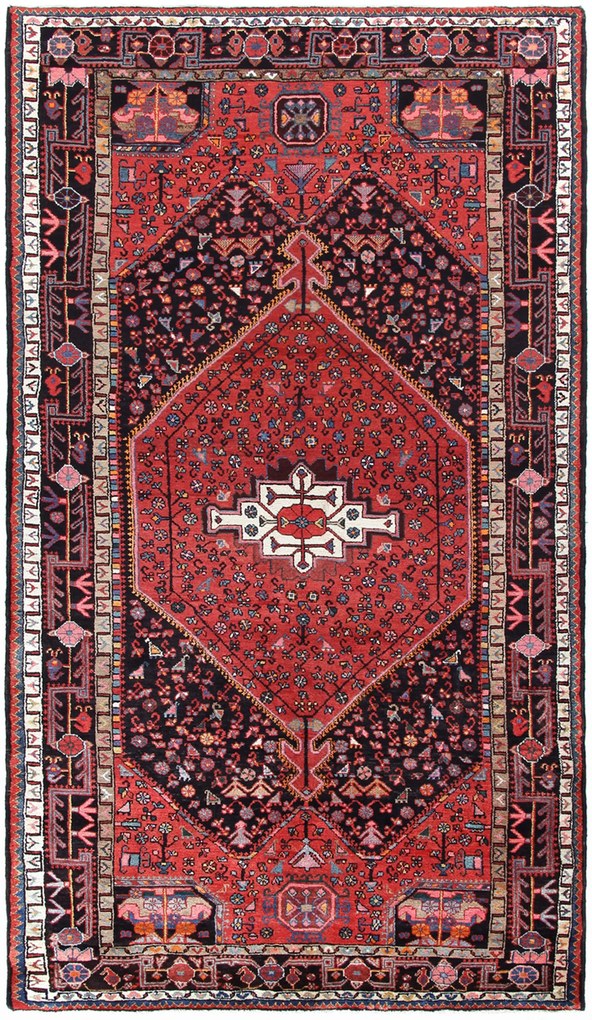 Hamedan Tappeto 160x300 (Iran) Annodato A Mano