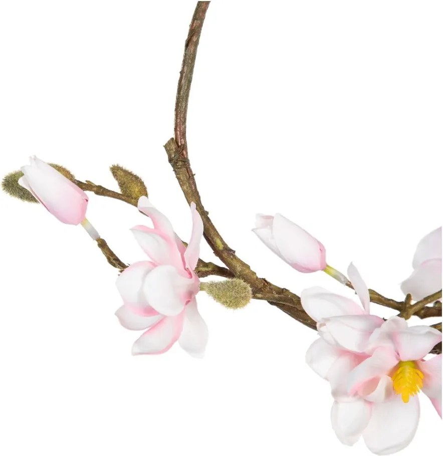 Ghirlanda di fiori Magnolia - Ixia