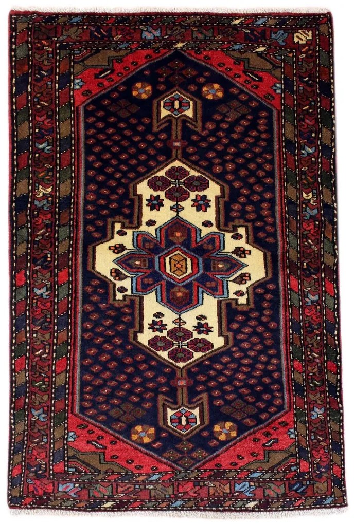 Hamedan Tappeto 160x110 (Iran)