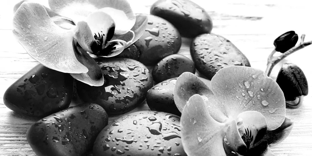 Stampa su tela – Magica armonia di pietre e orchidee in bianco e nero