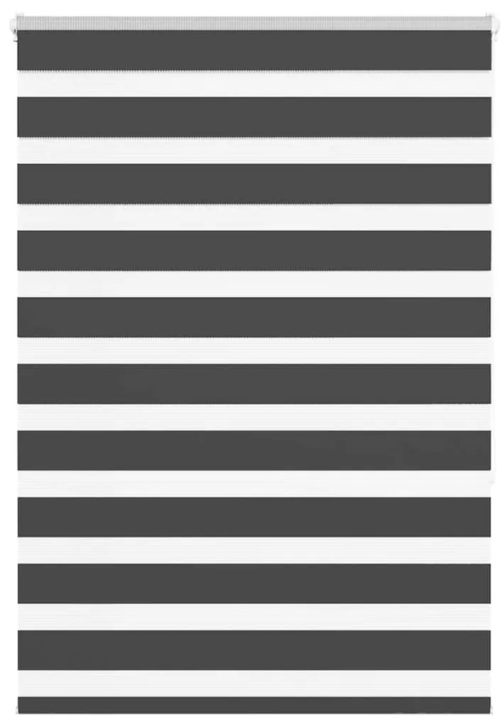 Tenda A Rullo Zebra Nero Larghezza Tessuto 95,9 Cm Poliestere /