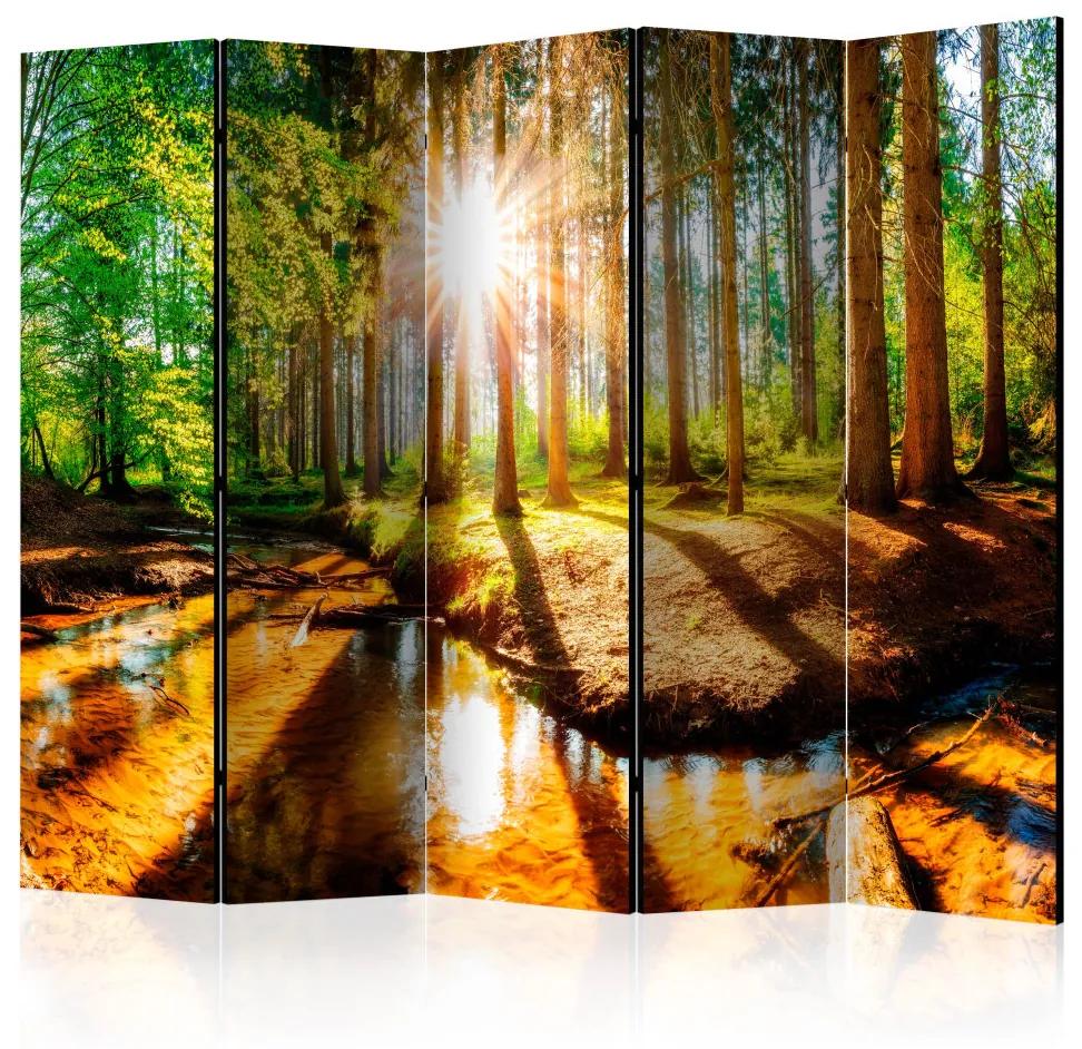 Paravento separè Meravigliosa Foresta II - Paesaggio di un fiume tra alberi al sole