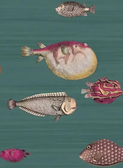 Fornasetti Tapete Acquario von Cole and Son - Viridian