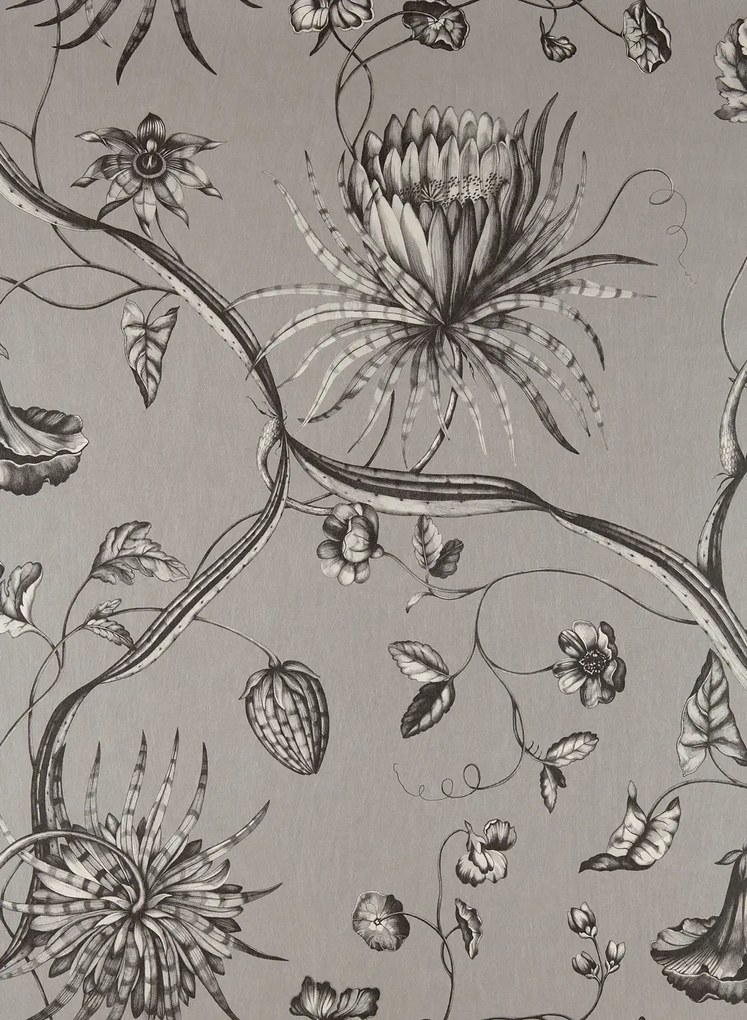 Zoffany Tapete Phaedra - Silver