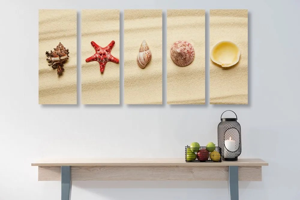 Quadri 5 pezzi – Conchiglie sulla spiaggia sabbiosa