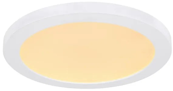 Globo 12379-24W - Plafoniera LED LASSE LED/24W/230V