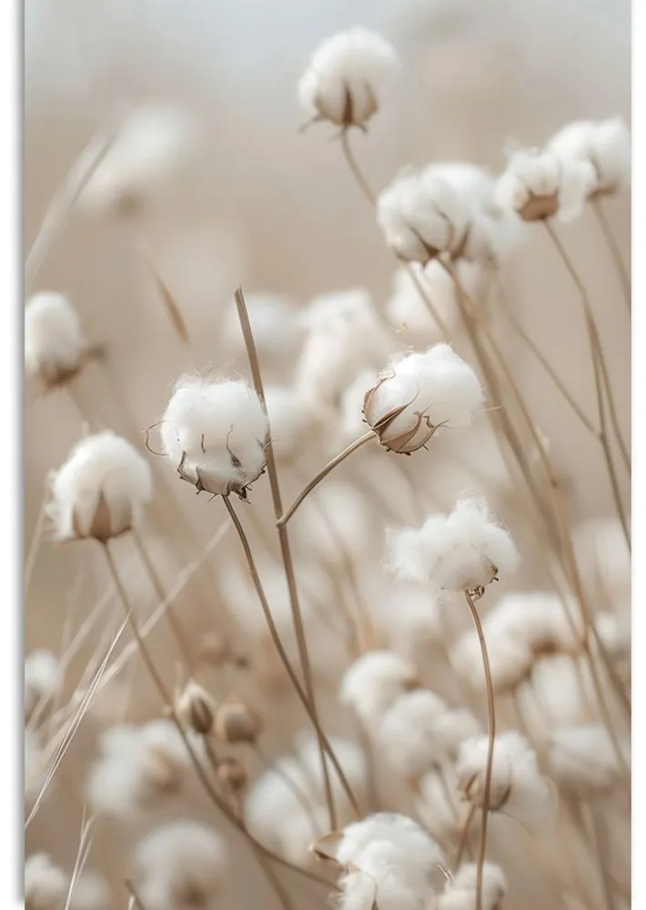 Stampa su tela – Fiori secchi