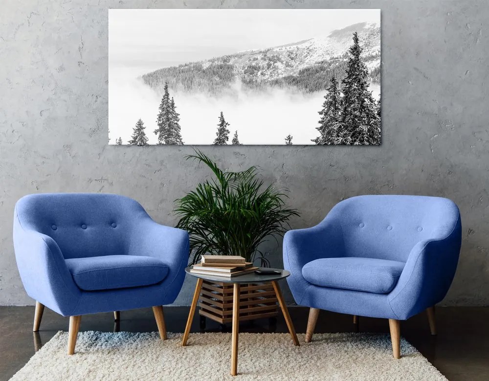 Quadro su tela – Alberi di pino innevati in bianco e nero