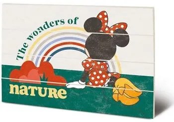 Disney  Dipinti, tele PM3768  Disney