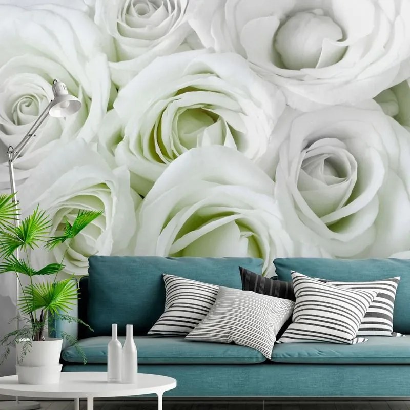 Fotomurale adesivo  Satin Rose (Green)  Larghezza x Altezza Home decor 98x70