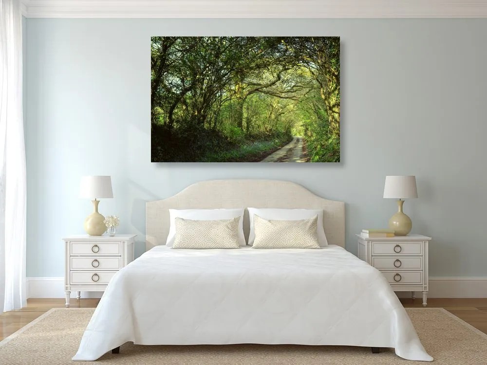 Quadro su tela – Foresta da fiaba