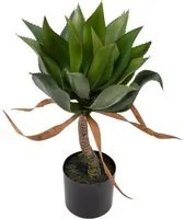 Pianta Artificiale Agave 71 cm con Vaso