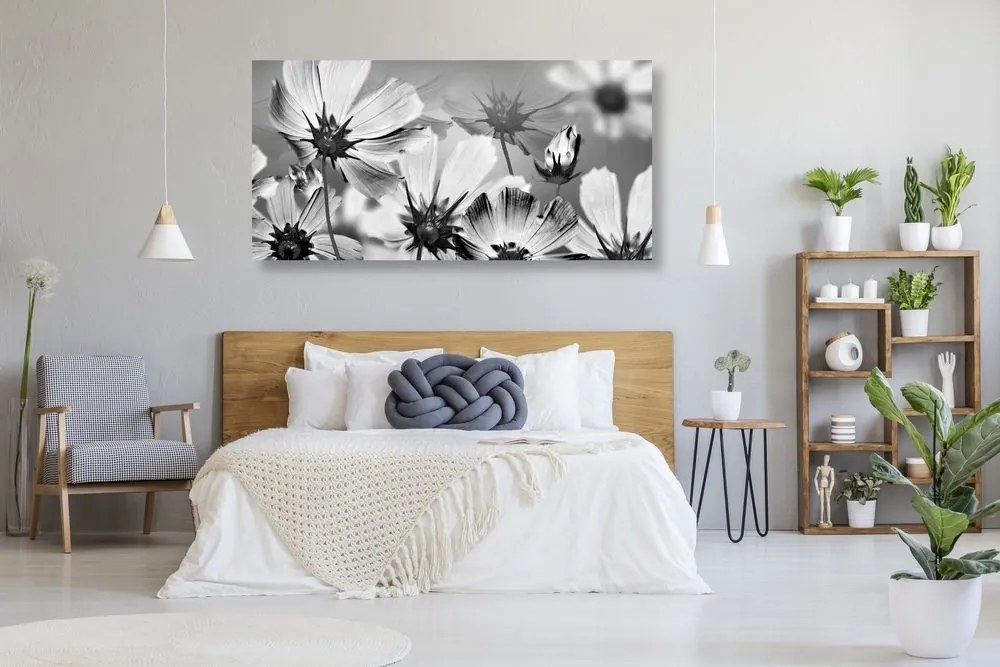 Quadro su tela – Fiori da giardino in bianco e nero