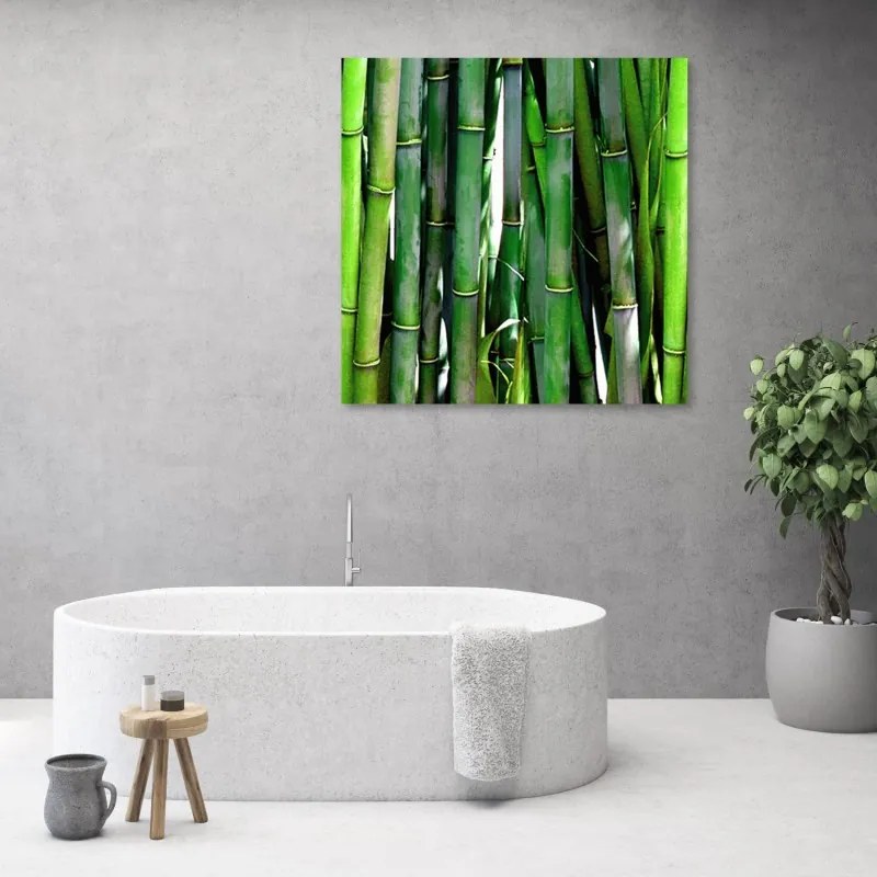 Quadro su tela, Bamboo verde