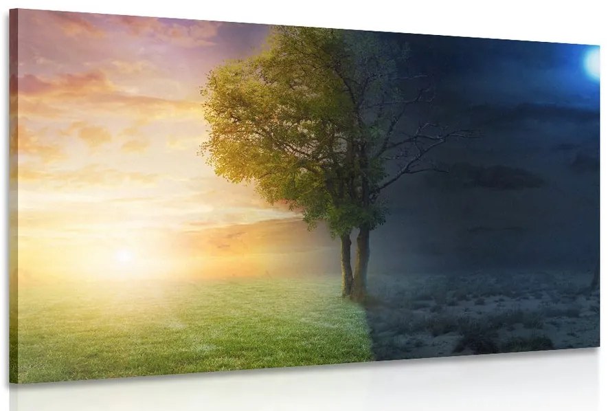 Quadro su tela – Giorno e notte