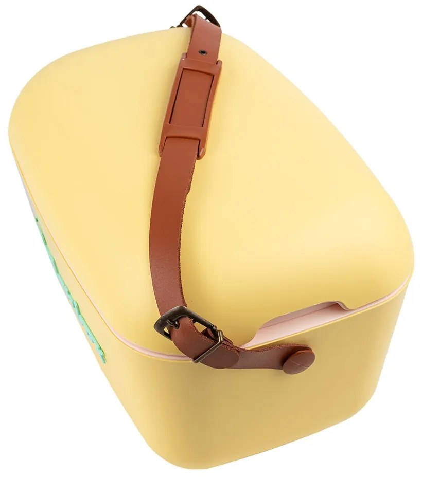 Borsa frigo gialla 12 l Classic – Polarbox
