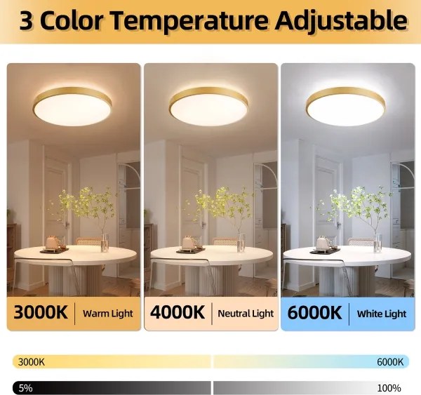 Brilagi - Lampada LED dimmerabile GLASS POOL DOUBLE LED/80W/230V 60 cm dorata + telecomando