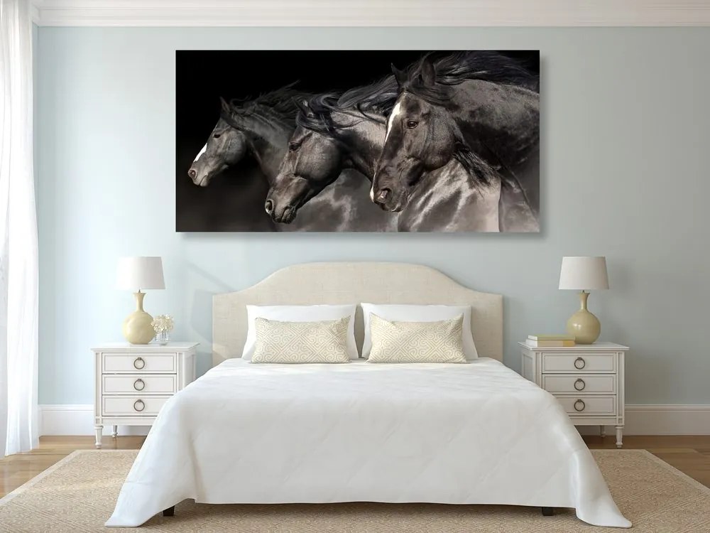 Quadro su tela – Tre cavalli al galoppo