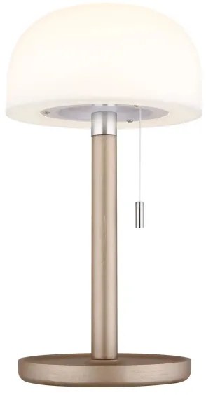 Globo 21016CH - Lampada da tavolo LED NORMAN LED/1,5W/3,7V 3000/4200/6000K marrone