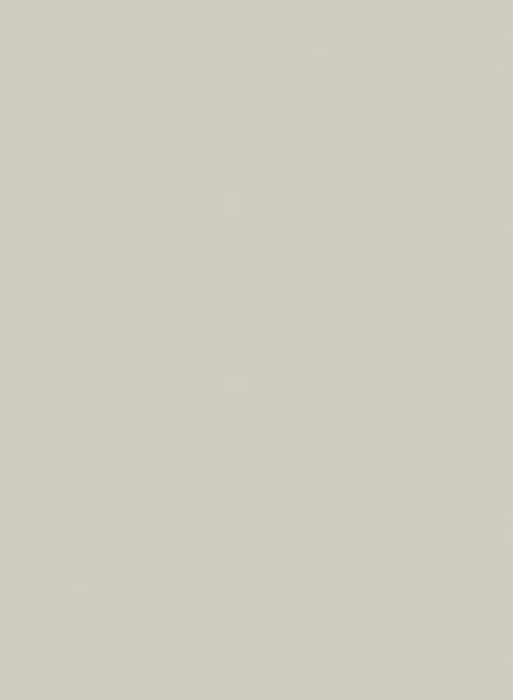 Ulricehamns Tapetfabric Carta da parati Plain - Soft Drizzle