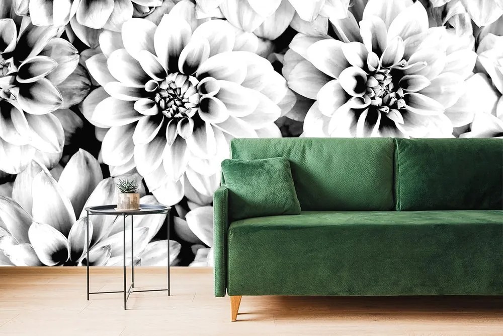 Carta da parati autoadesiva – Fiori di dalia in bianco e nero