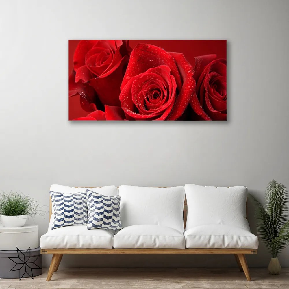 Quadro su tela Fiori di rose 100x50 cm