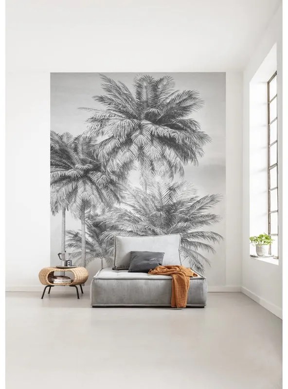 Fotomurale KOMAR Cocco, Multicolore 200X250 cm