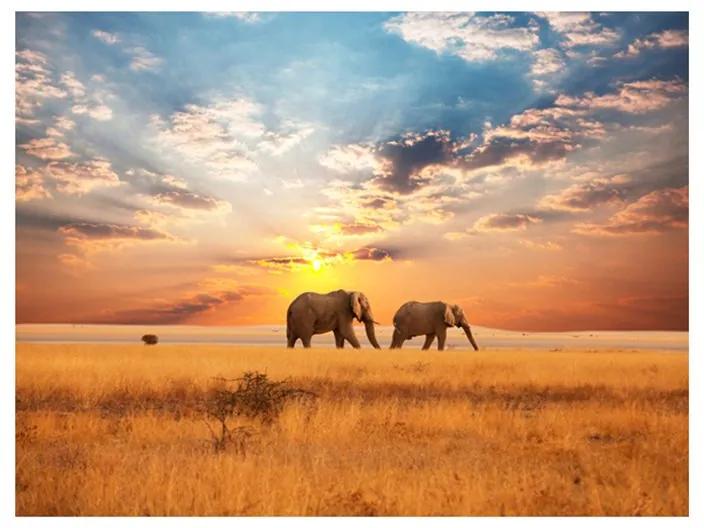 Fotomurale Elefanti nella savana africana