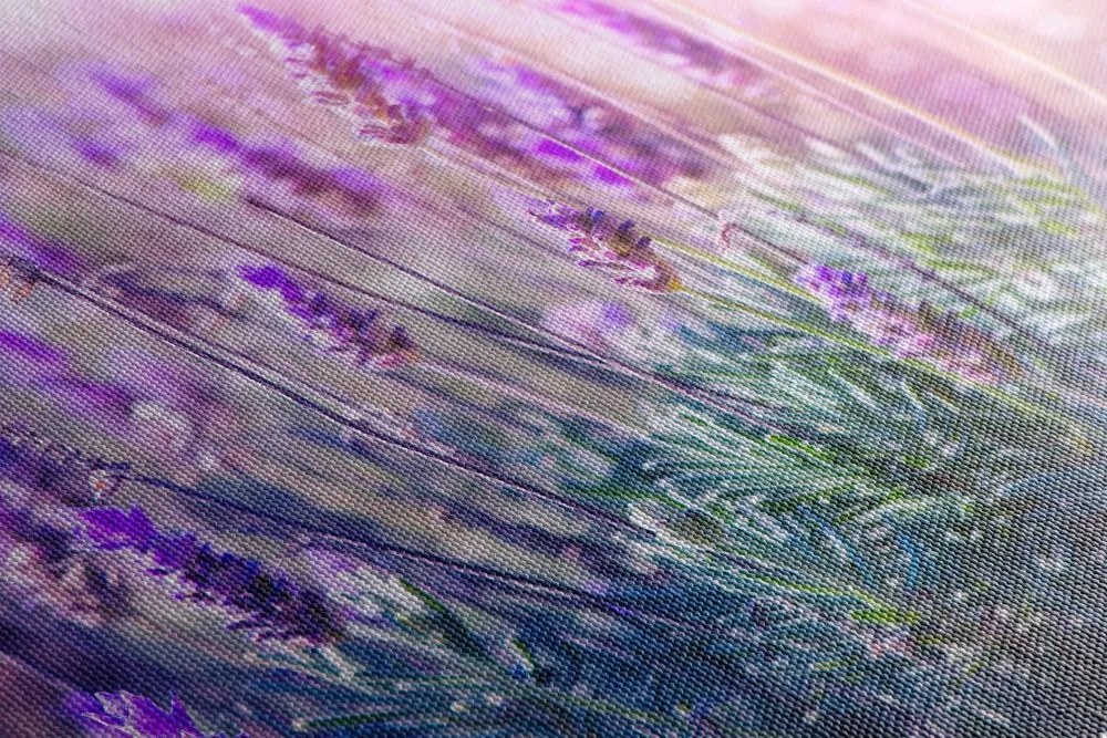 Quadro su tela – Fiori magici di lavanda