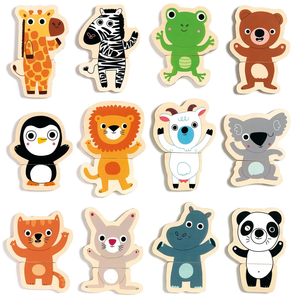 Animali magnetici allegri