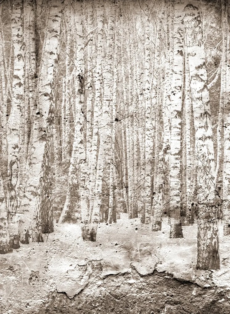 Coordonne Carta da parati panoramica Broken Forest - Sepia
