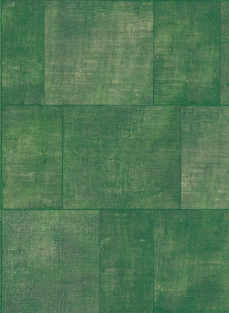 Arte International Carta da parati Cuadro - Clover