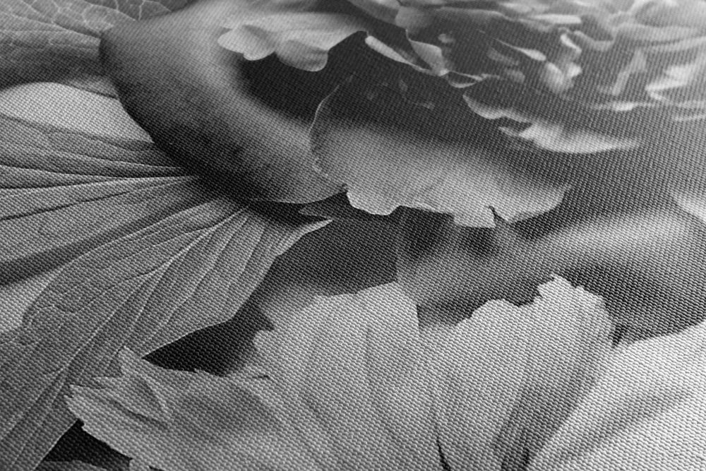 Stampa su tela – Peonie in bianco e nero